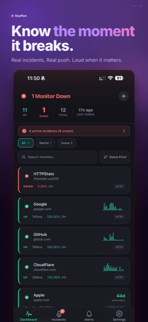 RawMon dashboard with a monitor DOWN